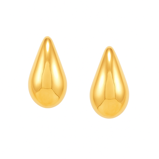 Celine Earrings